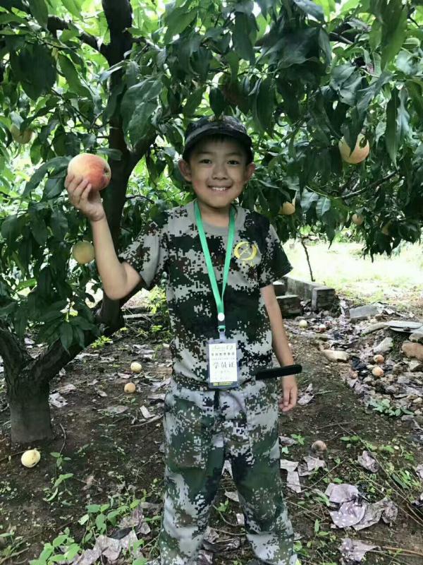 孩子健康饮食习气的培养